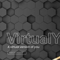 Virtual You