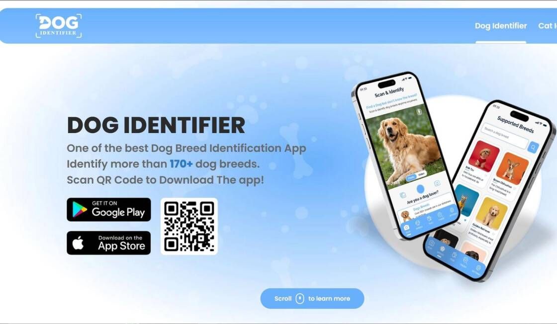 Dog Identifier