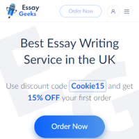 Essay Geeks