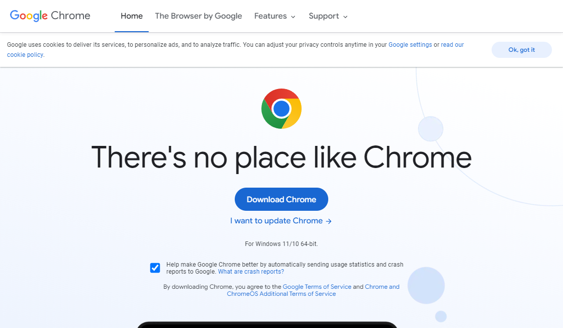 Google Chrome