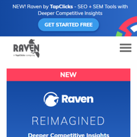 Raven Tools