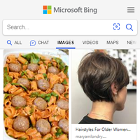 Bing Image Search