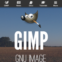 GIMP