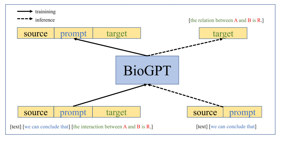 BioGPT